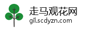 走马观花网